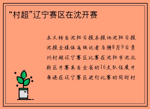 “村超”辽宁赛区在沈开赛